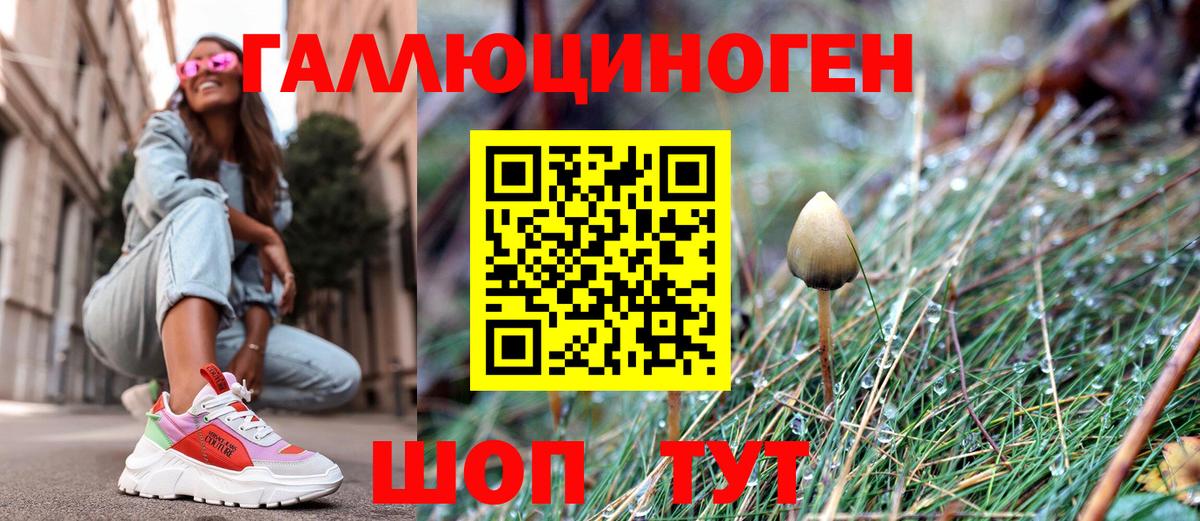 Михайловка  Псилоцибиновые грибы Psilocybine cubensis  Псилоцибиновые грибы Psilocybine cubensis  Вход с VPN 