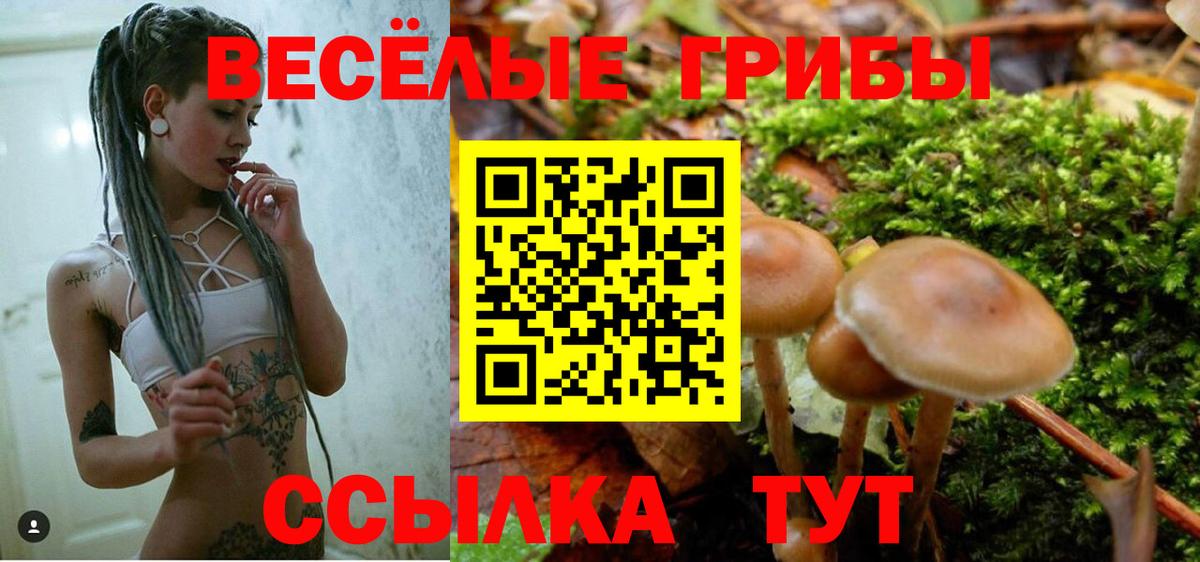 МАРИХУАНА  ГАШИШ  Вход с VPN  Cocaine  Codein  МЕФ   Михайловка  МДМА  Альфа ПВП СК кристаллы 